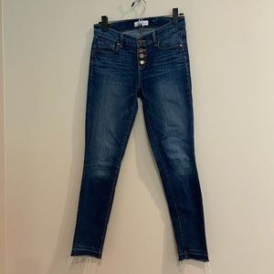 Loft Modern Skinny Jeans with Button Fly